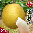 【(2025年11月中旬発送)先行予約】王秋 なし 梨 鳥取県 2.5kg 4～6玉 フルーツ ギフト 自宅用 誕生日 贈答用 贈り物 果物 ジューシー うまい 新鮮 鮮度 酸味 甘さ控えめ みずみずしい おうしゅう 【数量限定】