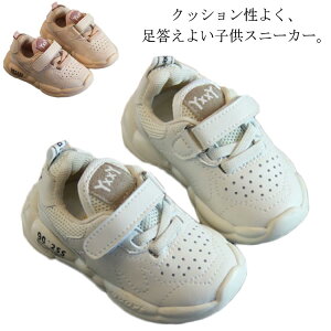 xr[ C LbYV[Y WjA Xj[J[  ^C j̎q ̎q q C X|[eB ʉ ʊw ʋC 12cm?16cm xN }WbNe[v