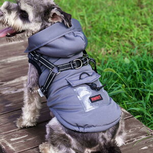  n[lX̌^  t[ht h Wp[ R[g ȓ {A ^ ^ ~ H~  o