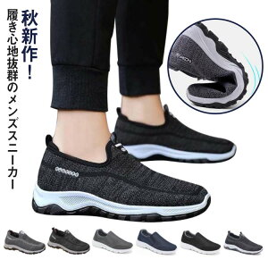 jOV[Y l t ʋ N Y  ^C RȂ am H~ y JWA ʋC Xb|  Vv Xj[J[ j 傫TCY ~ ₷ v