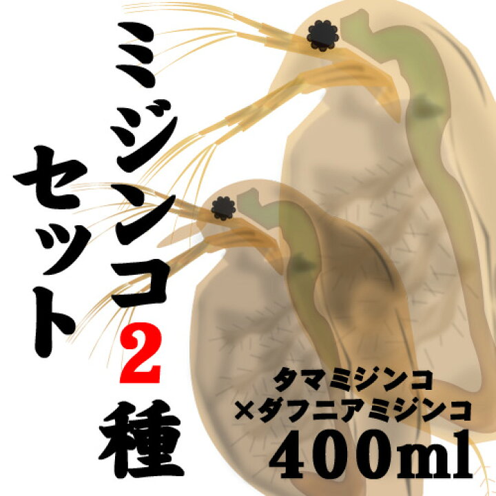 楽天市場 活餌 オススメ タマミジンコ 400ml 100匹 ダフニアミジンコ 400ml 100匹 水槽 熱帯魚 観賞魚 飼育 生体 通販 販売 アクアリウム あくありうむ 小型 ネオス 楽天市場店