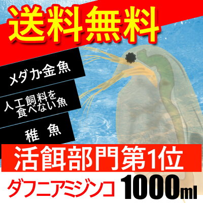(熱帯魚活餌)(オススメ)送料無料ダフニアミジンコ1000ml(250匹〜)【水槽/熱帯魚/観賞魚/飼育】【生体】【通販/販売】【アクアリウム】