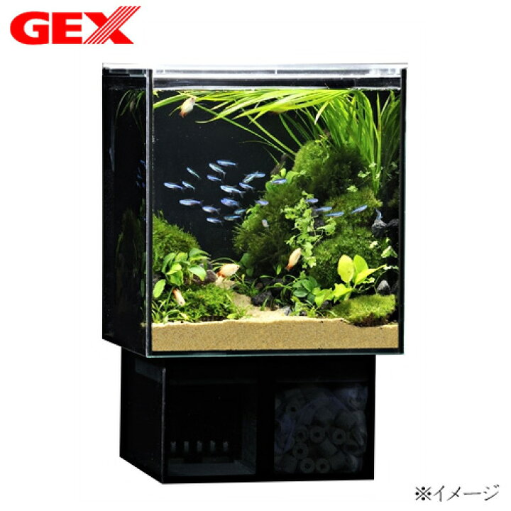 楽天市場 Gex グラステリア Ags アグス Of 230 熱帯魚 水槽セット 水槽セット 飼育セット スタイリッシュ水槽 水槽 熱帯魚 観賞魚 飼育 セット水槽 オブジェ 生体 通販 販売 アクアリウム あくありうむ 小型 ネオス 楽天市場店