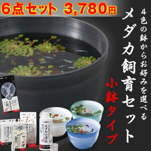 小型水槽 メダカの人気商品 通販 価格比較 価格 Com