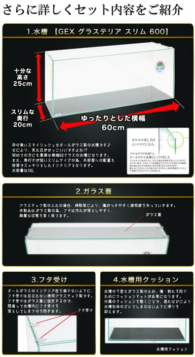 楽天市場 水槽セット スーパーset 13点 60cm 水槽セット 初心者のアクアリウム入門にピッタリ初めてでも必要な用品が揃っているから安心 新着 送料無料 水槽セット 飼育セット 水槽 熱帯魚 観賞魚 飼育 生体 通販 販売 アクアリウム 入門 ネオス 楽天市場店
