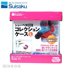 ベタ 生体 水槽の人気商品 通販 価格比較 価格 Com