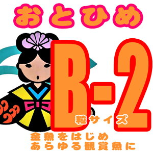 おとひめb2 エサ アクアリウム用の人気商品 通販 価格比較 価格 Com