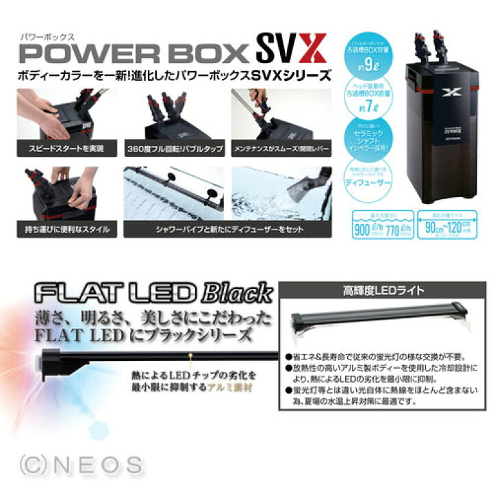楽天市場 1cm水槽 10l Svx4点 Led 水槽セット 選べる水槽台セット 大特価 送料無料 取寄商品 水槽セット 飼育セット 水槽 熱帯魚 観賞魚 飼育 通販 販売 アクアリウム ネオス 楽天市場店