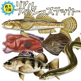 楽天市場 コブダイの通販