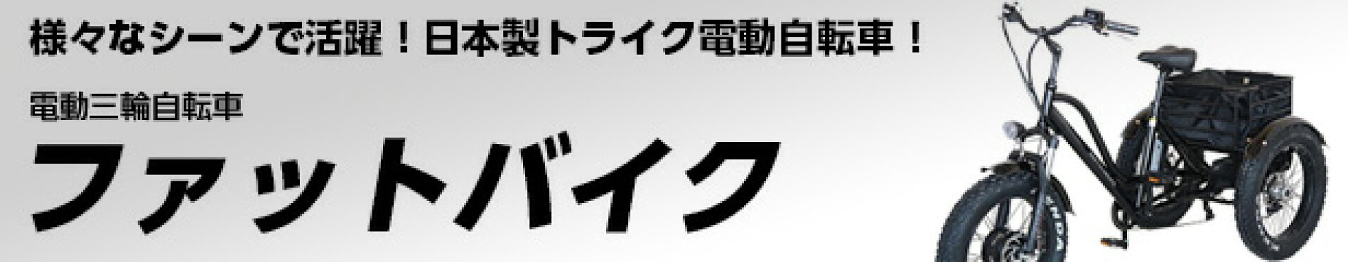 電動三輪自転車ファットバイク