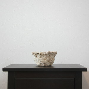  Jo[  5 OW AeB[N 픫 {EKI20 K[fjO CeA G Aւ T{e A ϗtA 