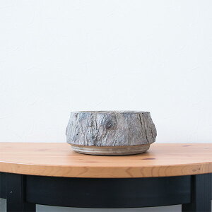 Jo[  JEC[^VEo[NS 6 t@Co[ZgT{e A@ϗtA ԁ@f K[fjO CeA G Aւ