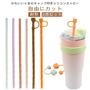 VRXg[ Lbvt y2{Zbgz HiO[hPP 킢܃Xg[wbh VR ܌^Xg[ LN^[ gѕ֗Xg[ Xg[  RɃJbg y2{Zb