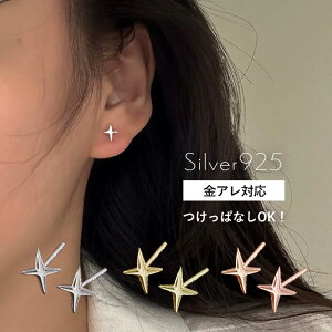 yzsAX Vv  ߃sAX Ԃ ɏ ~j  X^[ sAX ςȂ  silver925 Vo[925 18k R[eBO AM[ S[h sNS[