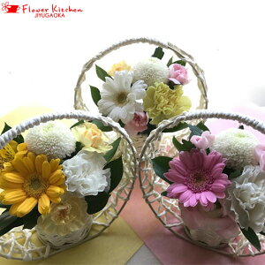 yyz ybg֑邨STCY yãybgzyybgzyzyybgpz摜zMOKyyΉzybgXyybg{z ////