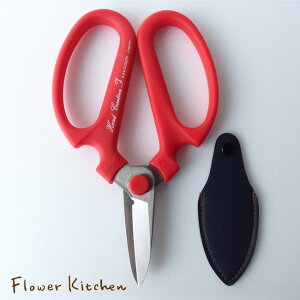 yԁEC[E{؂t[CNV[Yzt[CNEbh180mm  lR|X܂͂䂤pPbg y⌹z@|EԂ͂݁nP[Xt  y