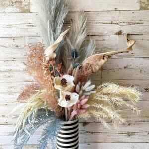 yhCt[ JXj CeA  ԑ v~A EGJXy[X j zhCt[ EGfBO   v[g fR[Vt[ T j