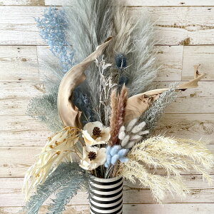 yhCt[ JXj CeA  ԑ v~A EGJXy[X j zhCt[ EGfBO   v[g fR[Vt[ T j