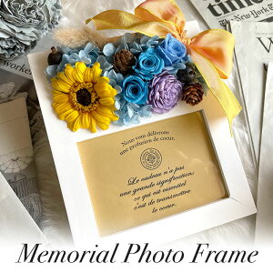 yybg ʐ^ A   vU[uht[ ʐ^  L Ƒ ʐ^ ԁzP[X t[tHgt[ vU[uht[ tHgt[ PLAN O vI[z