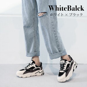 _bhXj[J[ fB[X  Xj[J[ [Jbg _bhV[Y l 킢 Vv [XAbv C  JWA Xg[g yz