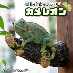 JI ঒ Ǌ| CeA A EH[fR[V IuWF u   R gJQ COAi IV   Ǌ|CeA 