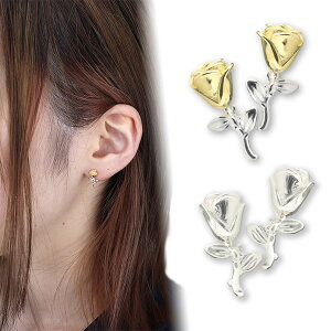  p o KN [Y s925 L[g sAX fB[X IV JCC Vo[ S[h