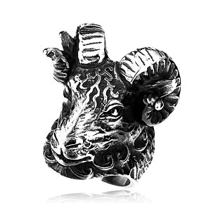  A Rr XeX O YO j[N S[g w r AeB[N