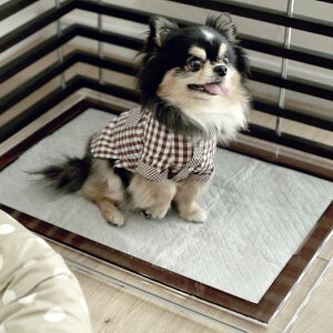 Y Y Ɩp ^ ybgV[c gC^[ P[X ybgp R[`[ J[{V[c {