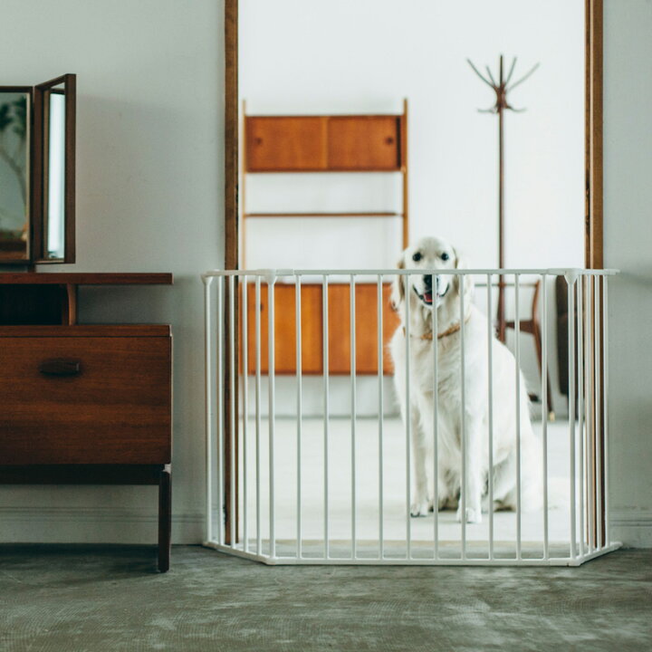 楽天市場】Scandinavian Pet Design ハースゲート ワイドセクション 
