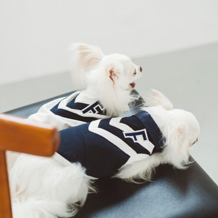 楽天市場 犬 服 ドッグウェア ラガー シャツ犬服 おしゃれ シャツ 高級 シンプル ラガーシャツ いぬ 洋服 ウェア ドッグ Free Stitch