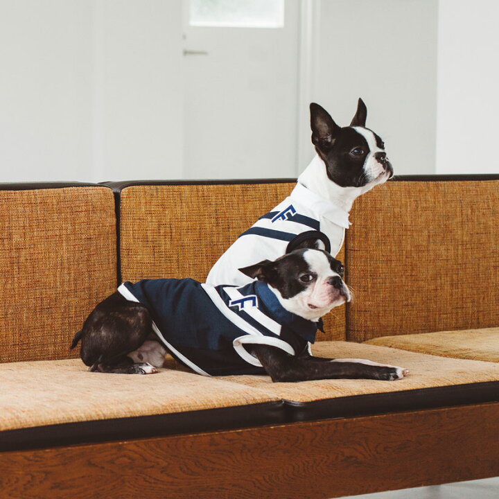 楽天市場 犬 服 ドッグウェア ラガー シャツ犬服 おしゃれ シャツ 高級 シンプル ラガーシャツ いぬ 洋服 ウェア ドッグ フリーステッチ