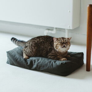 yL xbhzyxbh /^pxbh/Lpxbh/ybg xbhzypi/Lpi/ybgpizRbg l XNGA xbh STCY