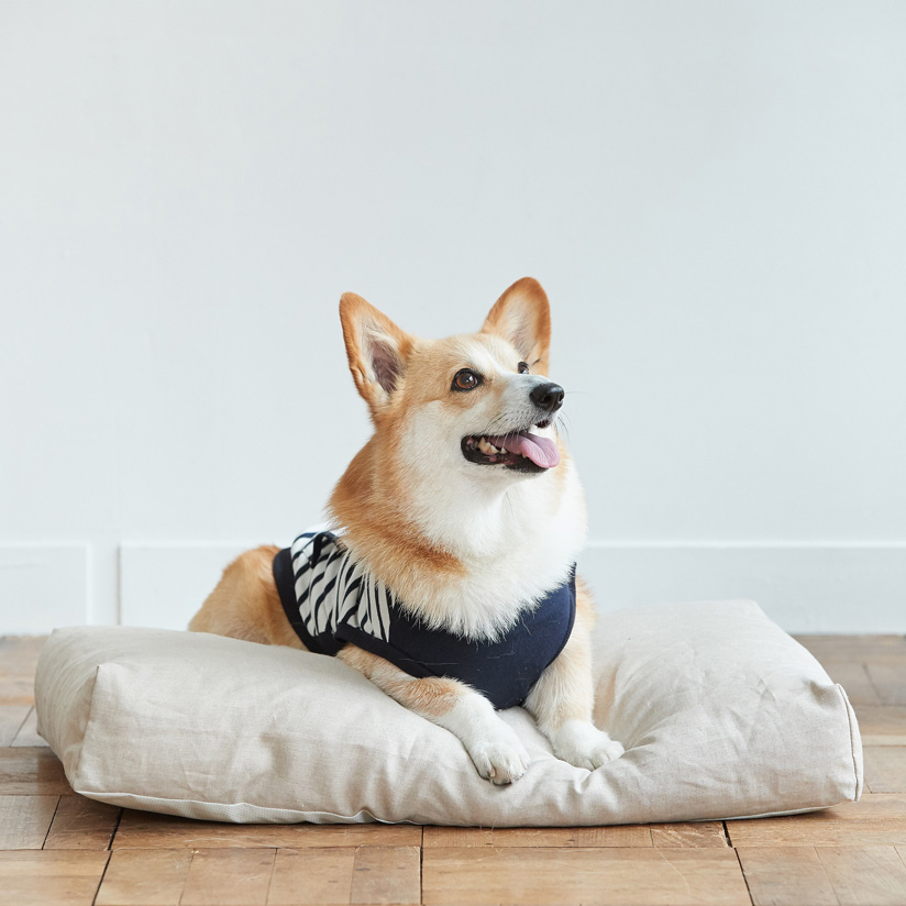 オンライン購入  Mサイズ ベッド コットンリネン フリーステッチ 犬用品