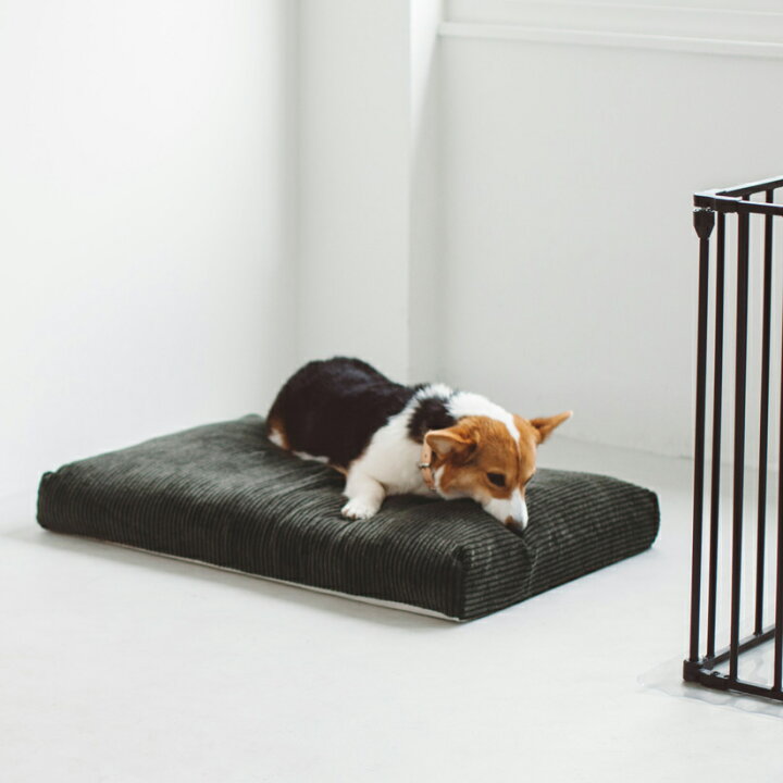 楽天市場 犬 ベッド 犬 猫ベッド ペット用ベッド ベッド Bed 洗える リネン ふかふか 国産 ペット 中型犬 大型犬 シンプル おしゃれ ペット ペットベッド マット コーデュロイ 洗える 洗濯コーデュロイ スクエア ベッド L サイズ フリーステッチ 楽天市場 犬 ベッド 犬 猫ベッド ペット用ベッド ベッド Bed 洗える リネン ふかふか 国産 ペット 中型犬 大型犬 シンプル おしゃれ ペット ペットベッド マット コーデュロイ 洗える 洗濯コーデュロイ スクエア ベッド L サイズ フリーステッチ