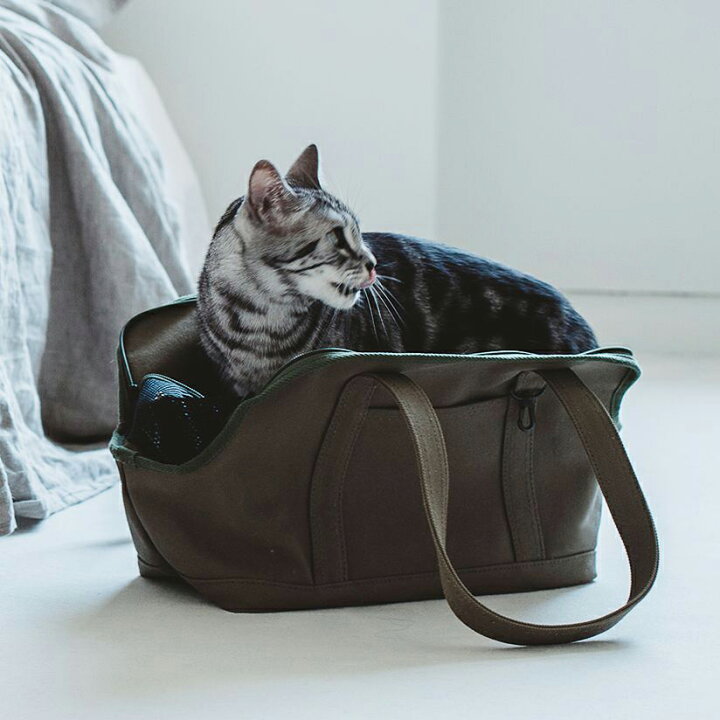 楽天市場】【猫 キャリー】ペット用 猫 キャリーバッグ キャリーケース 