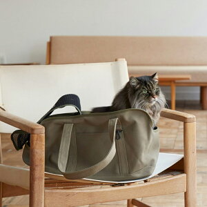 yL@L[zL[@@obO@L[obO@lR@L@qL@a@@ʉ@@Vv@lC@@{@΂@dԁ@ԁ@􂦂@@{@g[gobO@