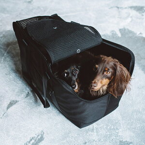 電車 生地 犬用品の人気商品 通販 価格比較 価格 Com