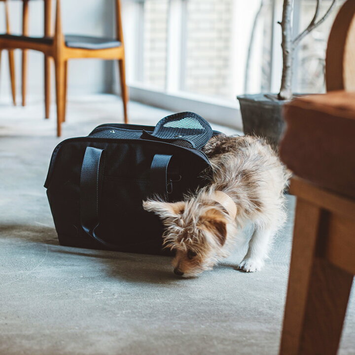 楽天市場 犬用 キャリー チワワ 小型犬 犬 ペット キャリーバッグ キャリーケース バックパック ペットキャリー 軽量 バッグ おしゃれ 移動 旅行 車 メッシュ ペットキャリー 折りたたみ キャスター付き 犬 猫 小型犬 中型犬 折り畳バルコディ スクエア トート S