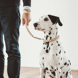 【犬 首輪】オリジナル ヌメ ウーブン カラー 3L サイズ犬　首輪　犬の首輪　革　大型犬　革　いぬ　くびわ　犬　ドッグ　いぬ　シンプル　ヌメ革　皮　レザー　シンプル　おしゃれ　日本製　カラー　ヌメ　かわいい　ラブラドール　ゴールデン　ダルメシアン