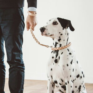 y ցzIWi k E[u J[ 3L TCY@ց@̎ց@v@^@v@ʁ@т@@hbO@ʁ@Vv@kv@@U[@Vv@@