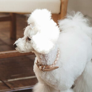 y ցzk E[u J[ SSTCY   v 킢 ^  ̎  т U[ Vv@x[VbN@ց@{@ybg@k@@Vv@