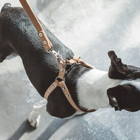 【犬 ハーネス】オリジナルヌメリングワンタッチハーネス 45 胴輪 革 中型犬～大型犬用