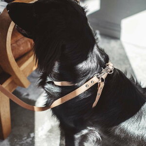 y n[lXzIWikO^b`n[lX ^p v 60