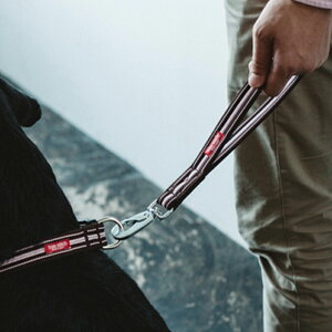 IWi tbV XgCv hbO nh@