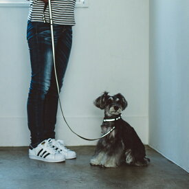 【犬 リード】リフレクティブ リード　M サイズ　中型犬【反射板　反射　散歩　犬用品 ペット用品 リード】