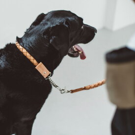 【犬 首輪】オリジナル ヌメ ウーブン ハーフチョーク 3L サイズ犬の首輪　犬首輪　大型犬用　革　いぬ　くびわ