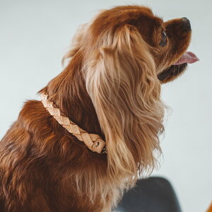 y ցzIWi k E[u n[t`[N M TCY^ p {v v@ց@