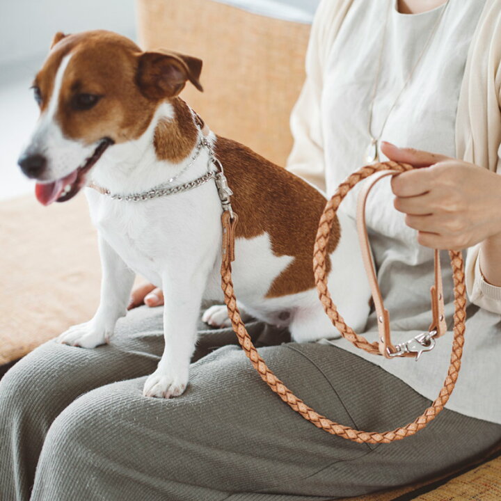 楽天市場 犬 リード 革 オリジナル ヌメ ウーブン リング リード M サイズ犬リード 犬 リード 小型犬 中型犬 革 皮 革製 レザー おしゃれ 犬のリード 犬リード中型犬 犬リード小型犬 Free Stitch