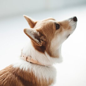 【犬 首輪 革】オリジナル ヌメ カラー LL サイズ中型犬　大型犬　犬 首輪 おしゃれ 革 かわいい 本革 犬首輪 犬の首輪 首輪 小型犬 皮 日本製 柴犬 フレブル コーギー　ドゥードル　いぬ くびわ 犬用品 レザー 皮 カラー 犬用 カラー