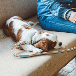 y [hzv Tj[XgCv[h S ^p  |h